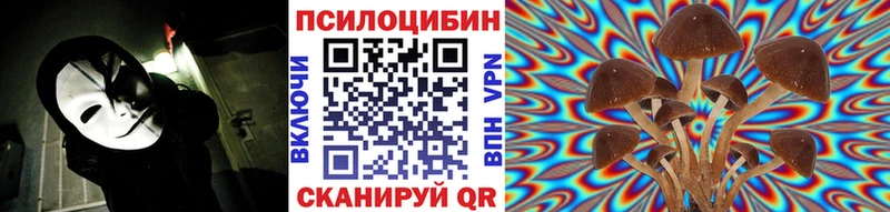 Псилоцибиновые грибы мухоморы  цены   Омутнинск 